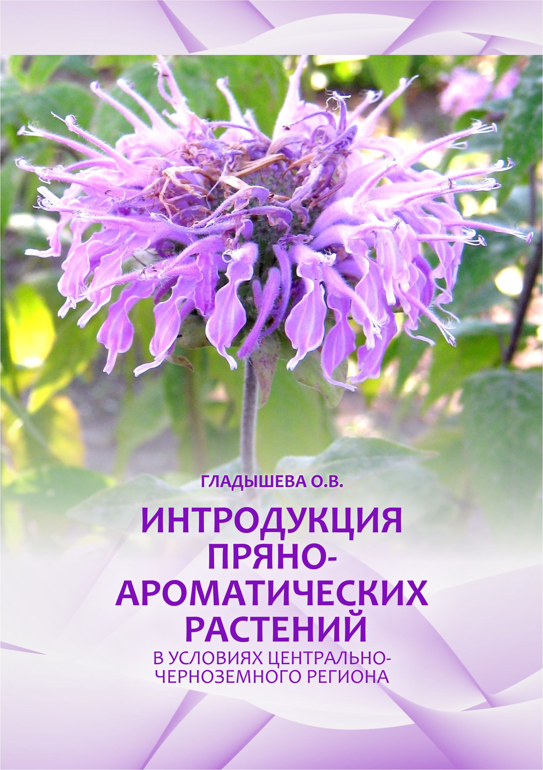 Интродукция пряно-ароматических растений в условиях Центрально-Черноземного региона
