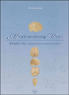 Музей эволюции мозга ФГБНУ «Научный центр неврологии». 2-е изд.