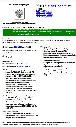 Способ прогнозирования инфекционного процесса, вызванного культивируемыми и некультивируемыми бактериями Pseudomonas aeruginosa, в эксперименте
