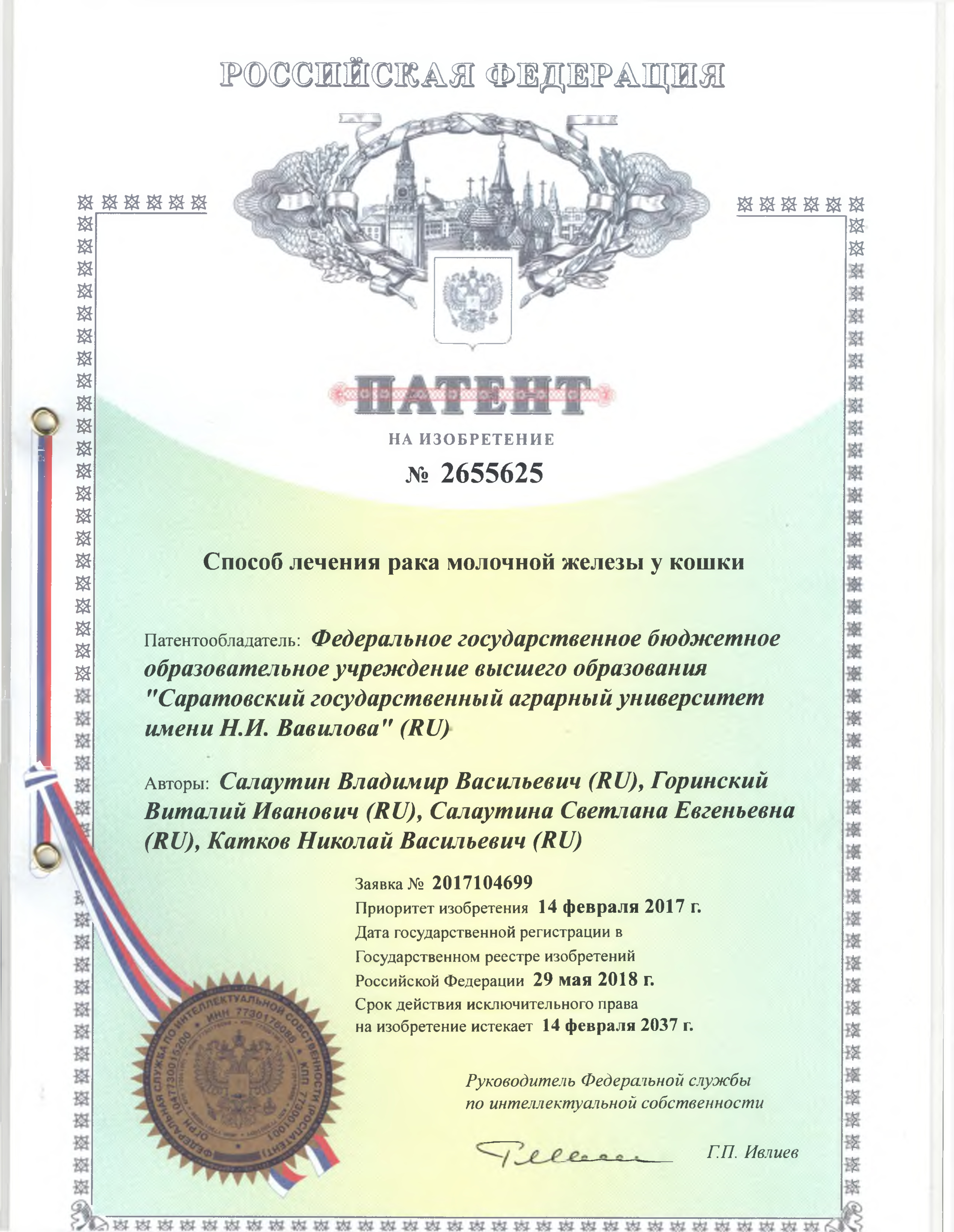 Способ лечения рака молочной железы у кошки