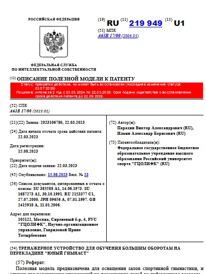 ТРЕНАЖЕРНОЕ УСТРОЙСТВО ДЛЯ ОБУЧЕНИЯ БОЛЬШИМ ОБОРОТАМ НА ПЕРЕКЛАДИНЕ "ЮНЫЙ ГИМНАСТ"